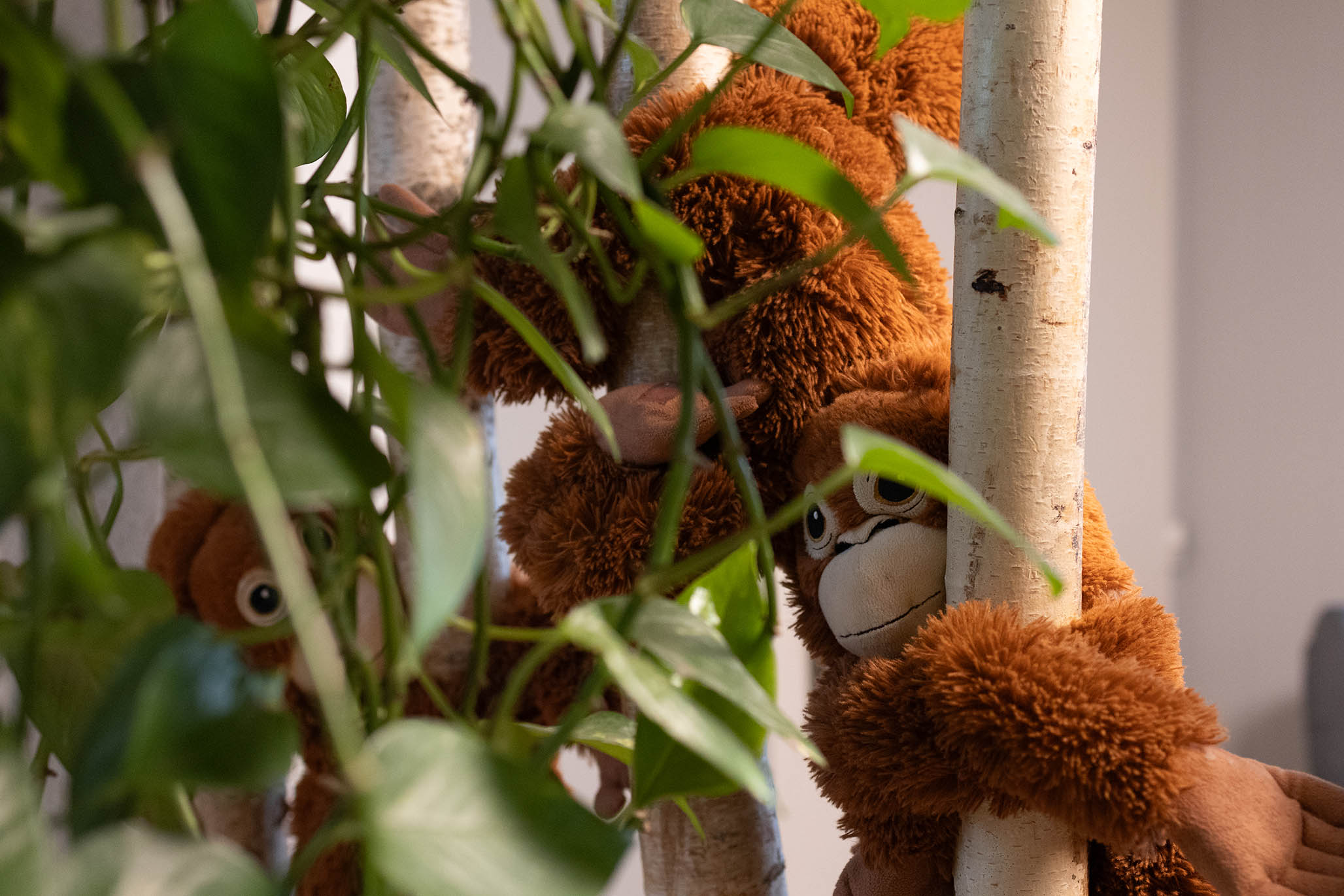Tierische Freunde in der Kindergruppe Seltisberg