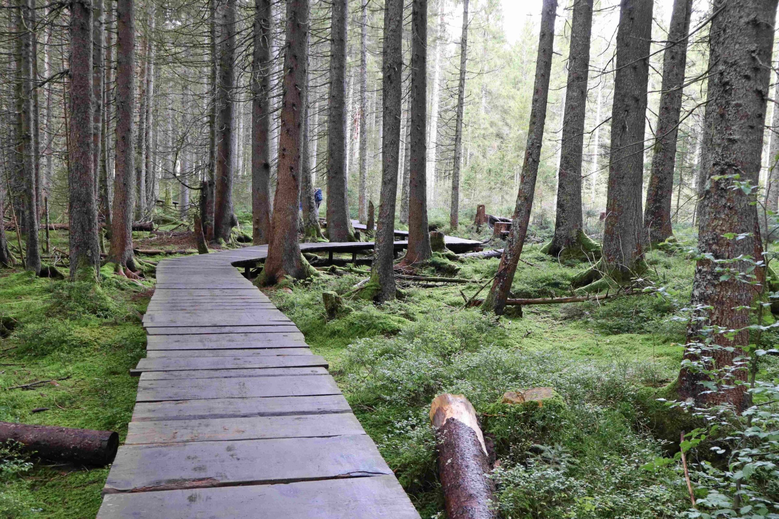 Aufberg AG — Leitbild