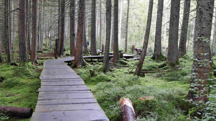 Aufberg AG — Leitbild